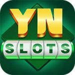 Yn-slots