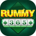 rummy-365